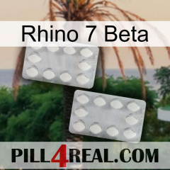 Rhino 7 Beta 17